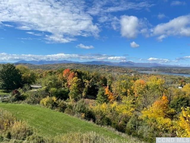 17 Academy Hill Drive Hudson, NY 12534 - Photo 29 of 35 a view of a yard with an outdoor seating