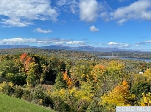 17 Academy Hill Drive Hudson, NY 12534 - Photo 3 of 35