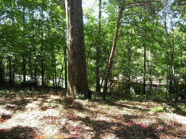 1026 Ridgeview Lane Seneca, SC 29678 - Photo 29 of 30 Gallery Image 29