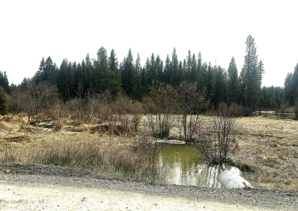 $125,000 | Nka Santa Creek Road, St. Maries, ID 83861