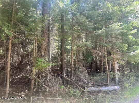 Nka Santa Creek Road St. Maries, ID 83861 - Photo 11 of 18 N side-png