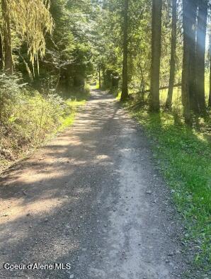 Nka Santa Creek Road St. Maries, ID 83861 - Photo 12 of 18 Neighbors access road