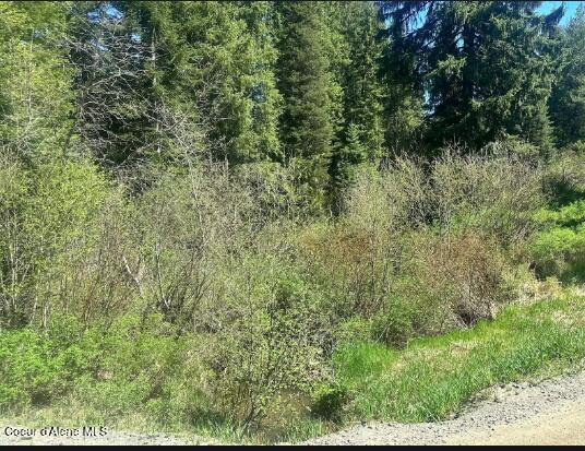 Nka Santa Creek Road St. Maries, ID 83861 - Photo 13 of 18 Area to east of access road