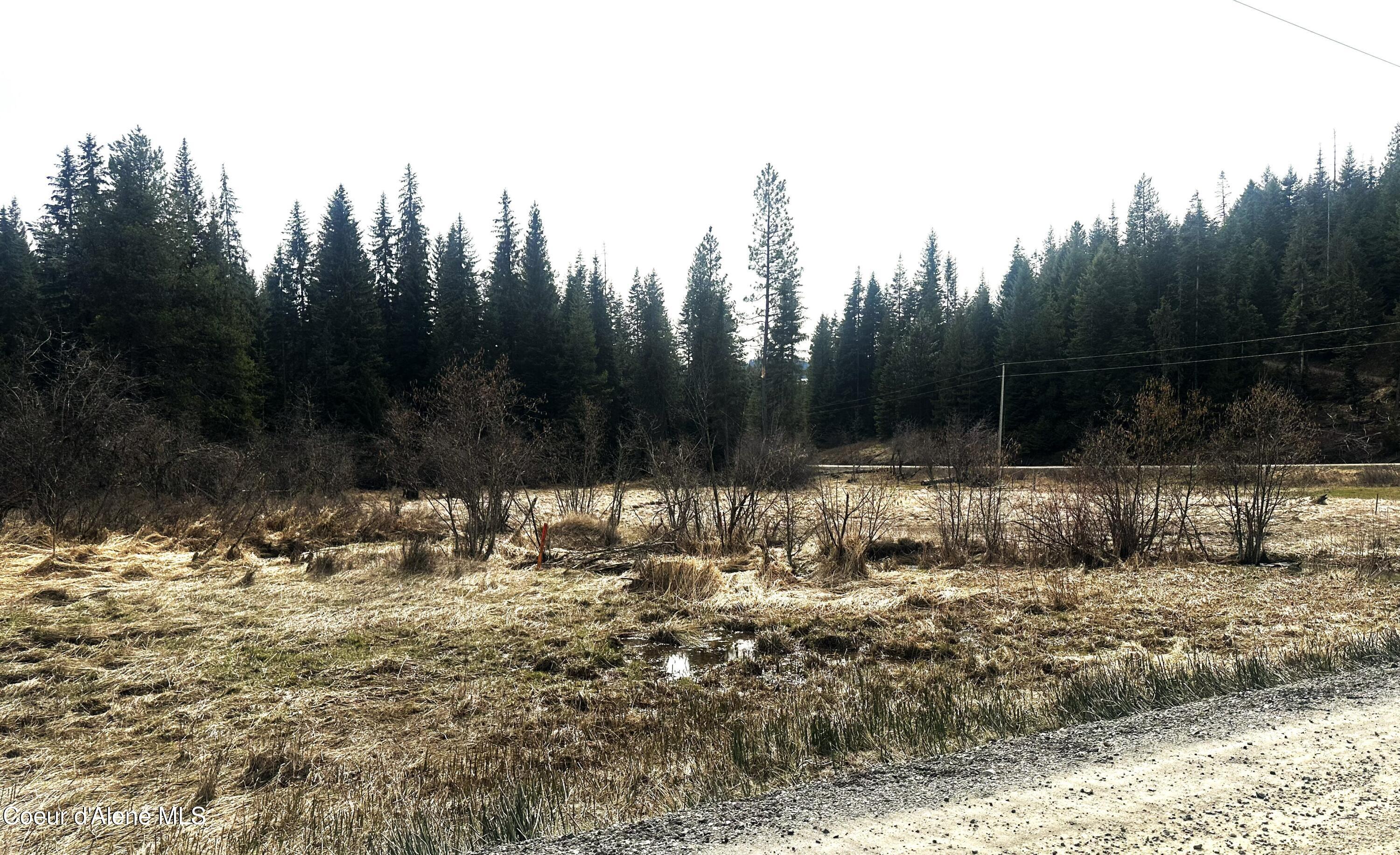 Nka Santa Creek Road St. Maries, ID 83861 - Photo 2 of 7 Meadow with creek
