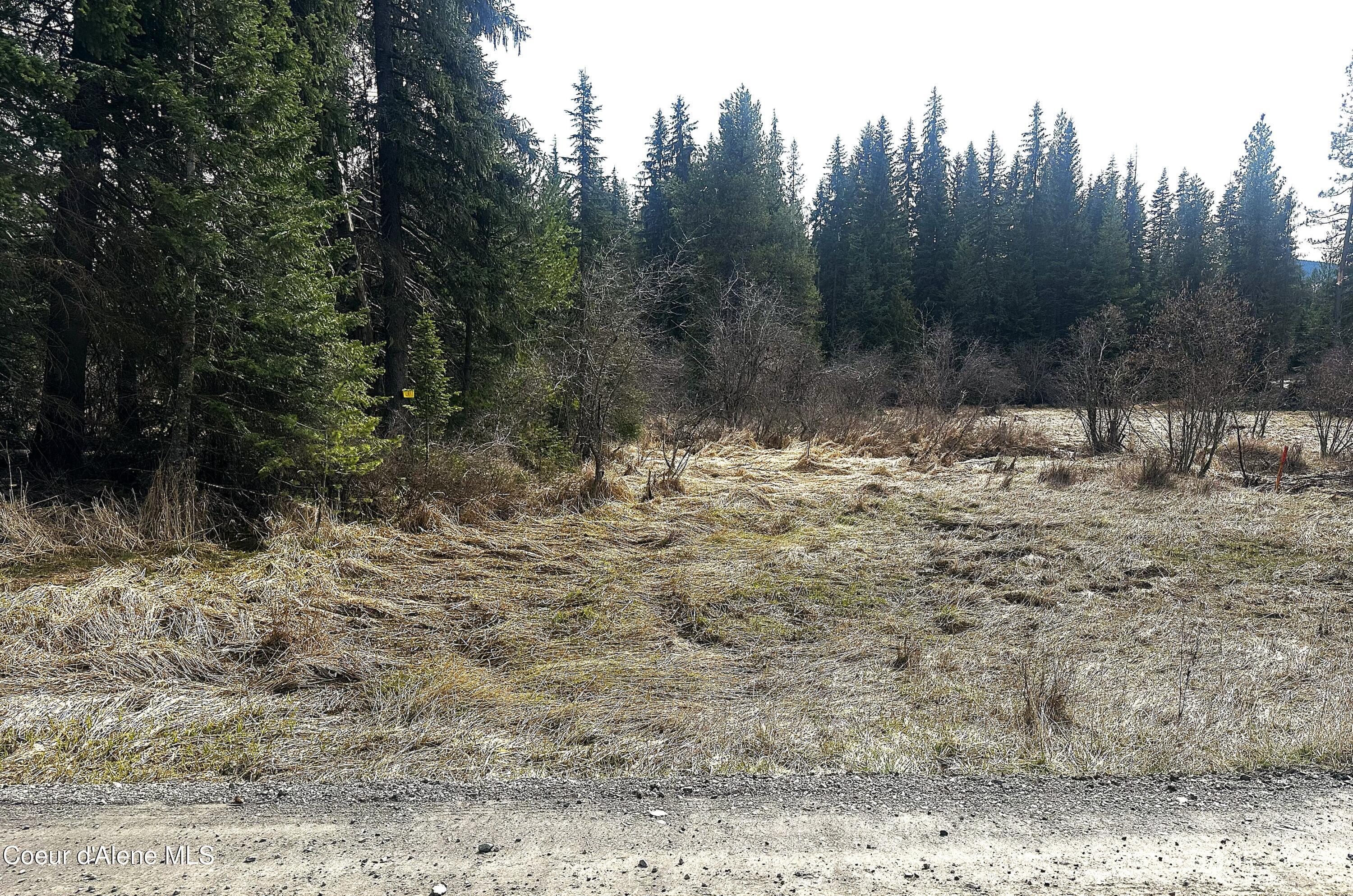 Nka Santa Creek Road St. Maries, ID 83861 - Photo 3 of 7 Meadow