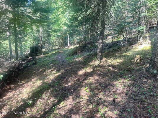 Nka Santa Creek Road St. Maries, ID 83861 - Photo 7 of 18 N side