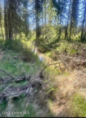 Nka Santa Creek Road St. Maries, ID 83861 - Photo 10 of 18 N side-png