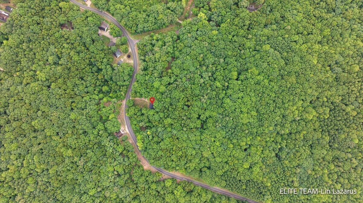 6718 Schmeid Road Lakeview, MI 48850 - Photo 55 of 58