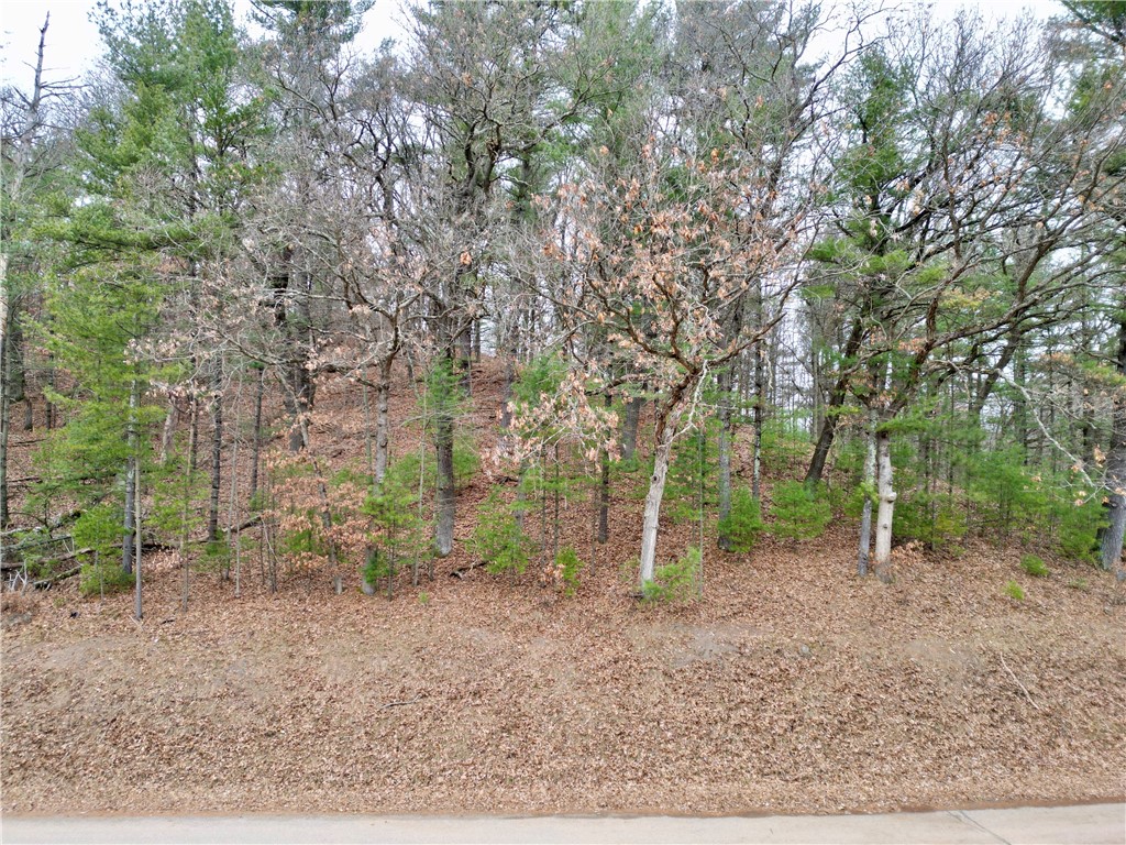 2.89-acres Holum Road Eau Claire, WI 54701 - Photo 2 of 2