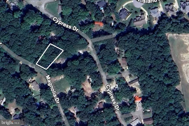 a aerial view of a house with a yard and large tree