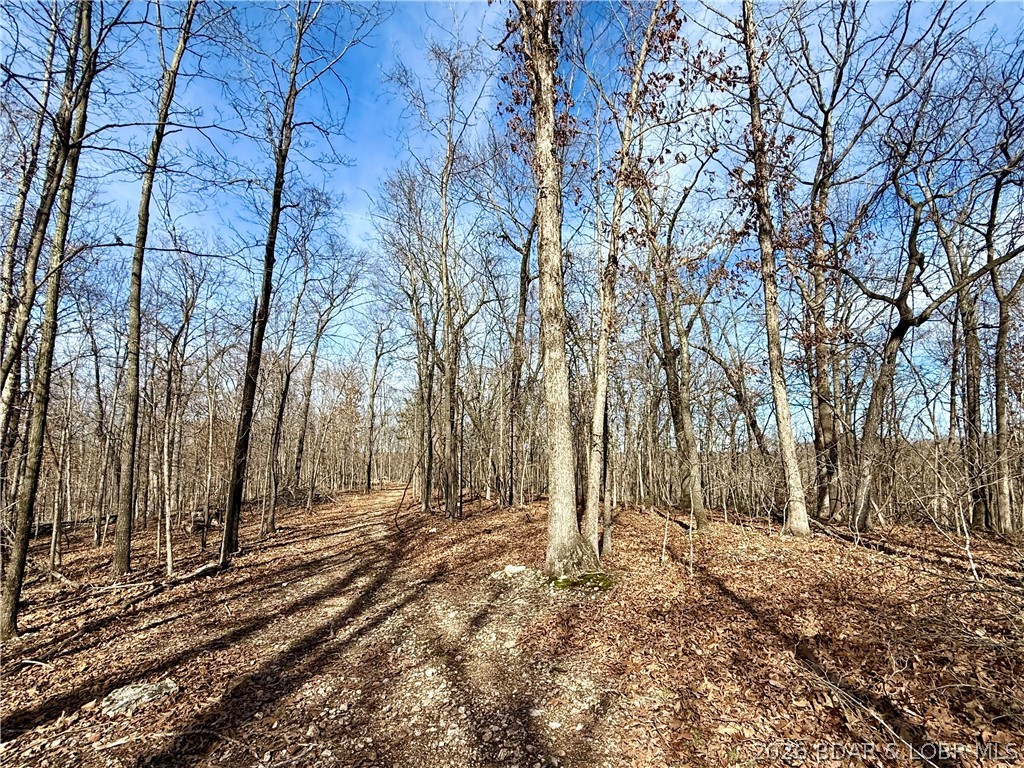 0 Red Fox Road Climax Springs, MO 65324 - Photo 28 of 36