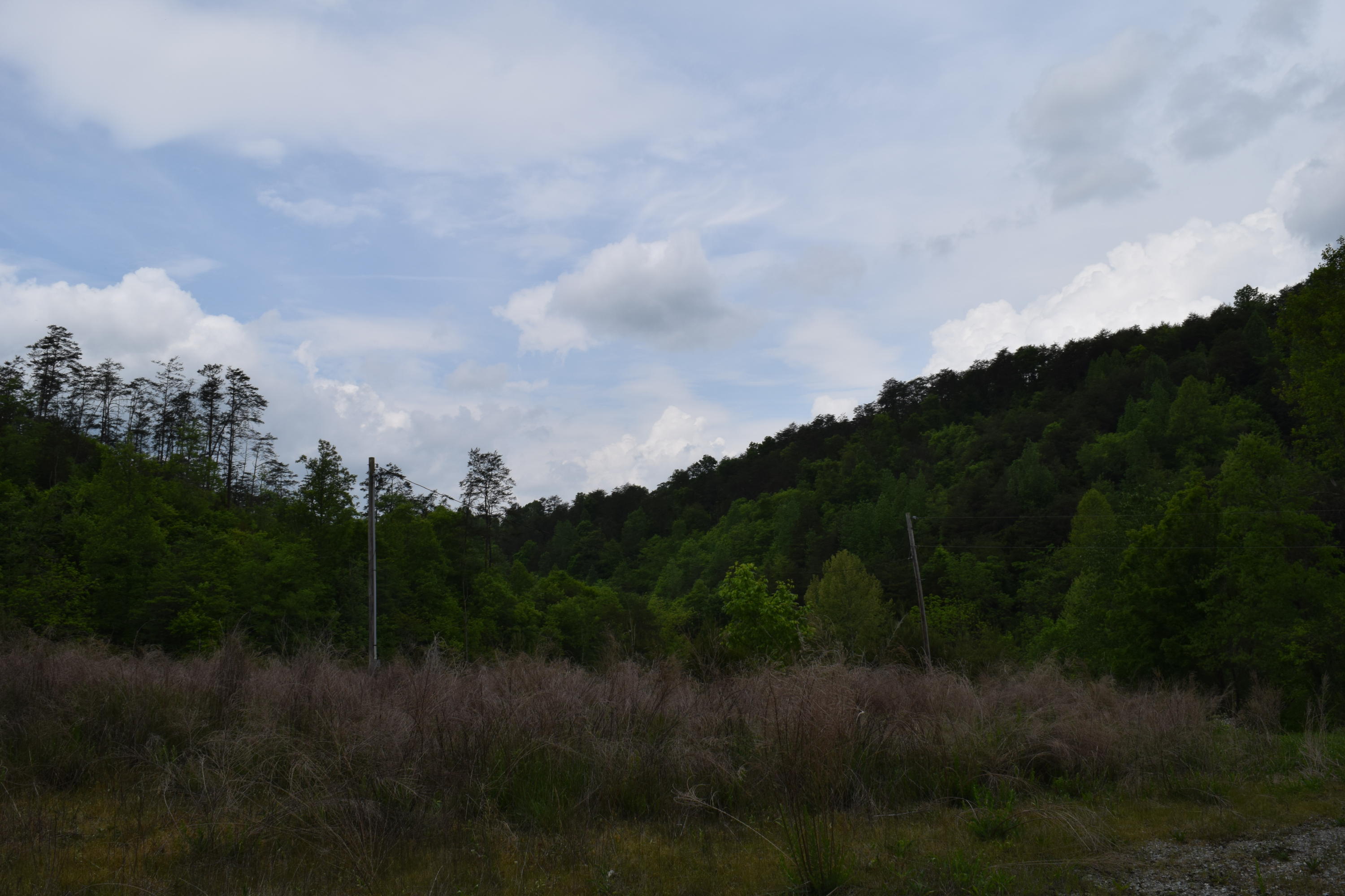 40-ac Yellow Branch Road Sneedville, TN 37869 - Photo 2 of 6 DSC_0978