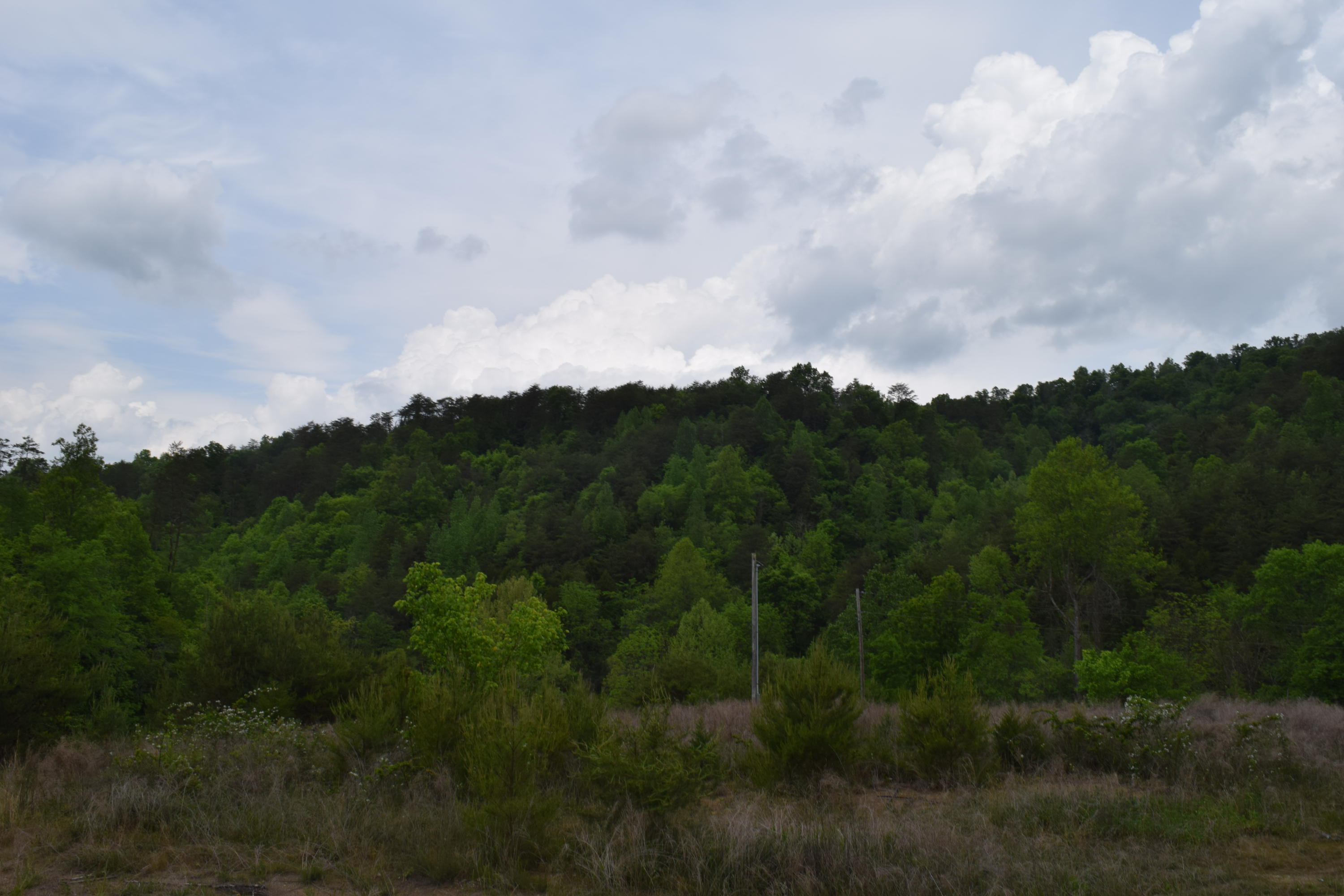 40-ac Yellow Branch Road Sneedville, TN 37869 - Photo 3 of 6 DSC_0979