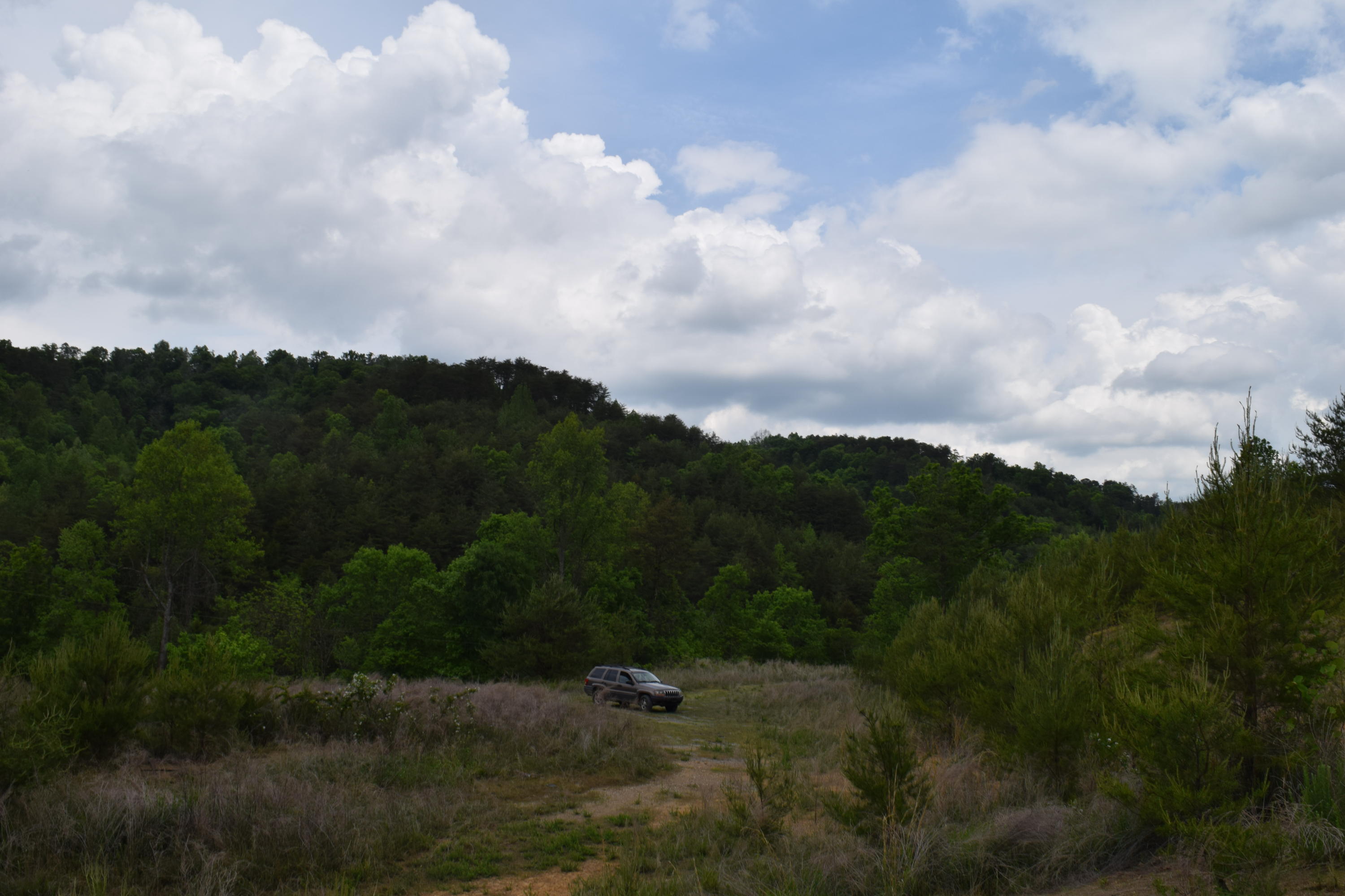 40-ac Yellow Branch Road Sneedville, TN 37869 - Photo 5 of 6 DSC_0981