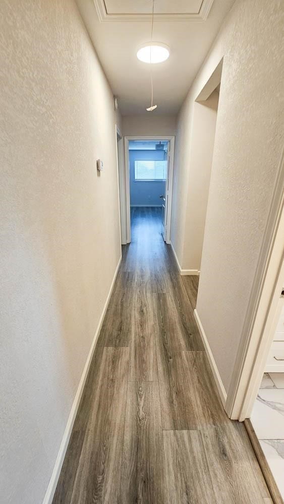 9327 Leader Street Houston, TX 77036 - Photo 18 of 23