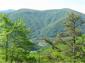 Lot#3 Bent Tree Road Maggie Valley, NC 28751 - Photo 1 of 12 a view of a lush green field with lots of bushes