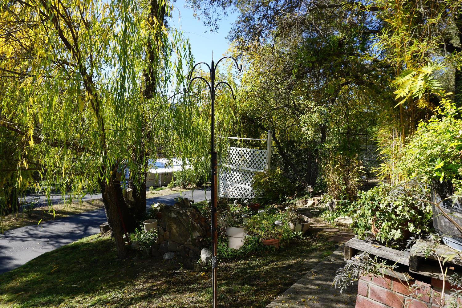 1525 Cold Springs Road, Unit 92 Placerville, CA 95667 - Photo 7 of 12 a view of yard