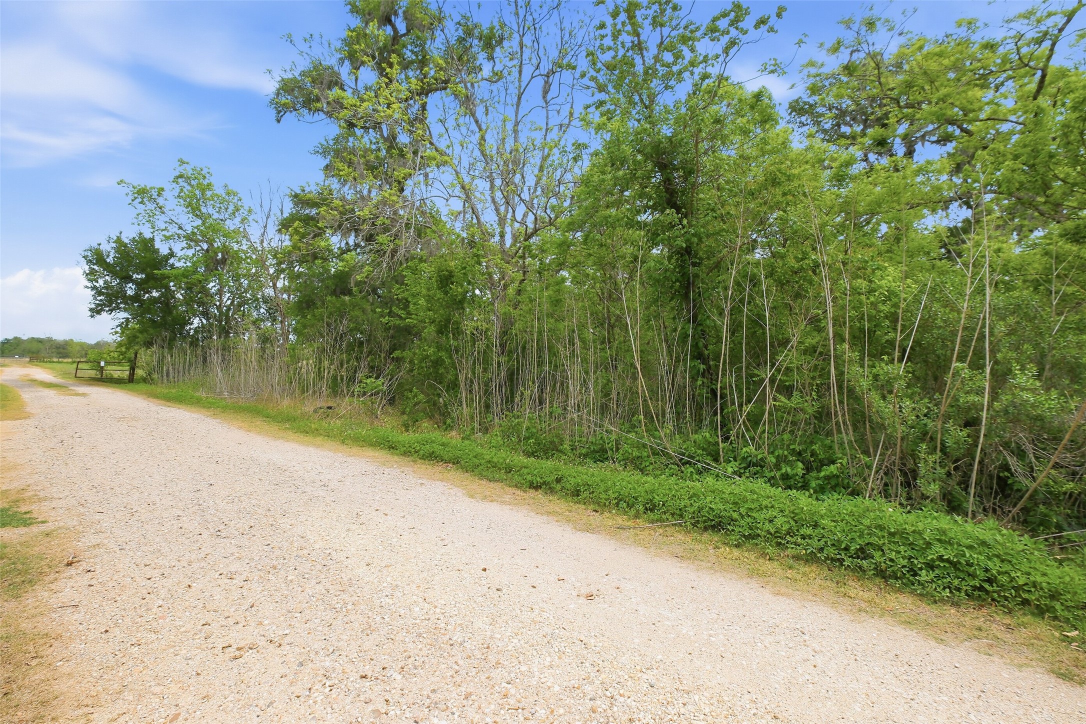 0 Elm Street Rosharon, TX 77583 - Photo 6 of 11 The lot is location on a quiet dead in street.
