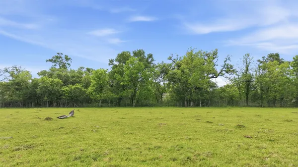 $40,000 | 0 Elm Street, Rosharon, TX 77583