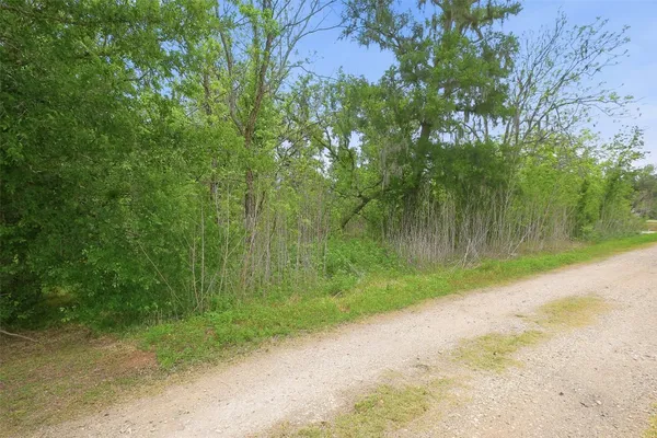 $40,000 | 0 Elm Street, Rosharon, TX 77583
