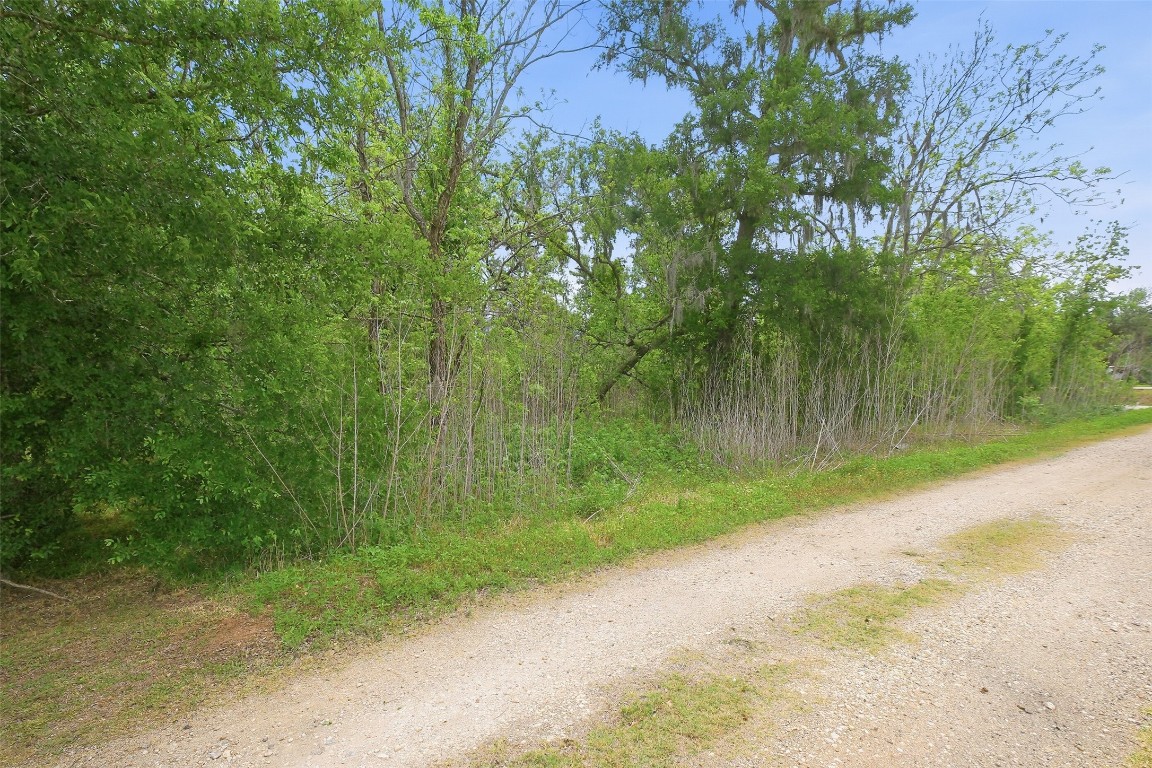 0 Elm Street Rosharon, TX 77583 - Photo 9 of 11