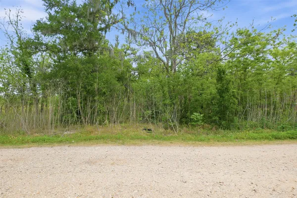 $40,000 | 0 Elm Street, Rosharon, TX 77583