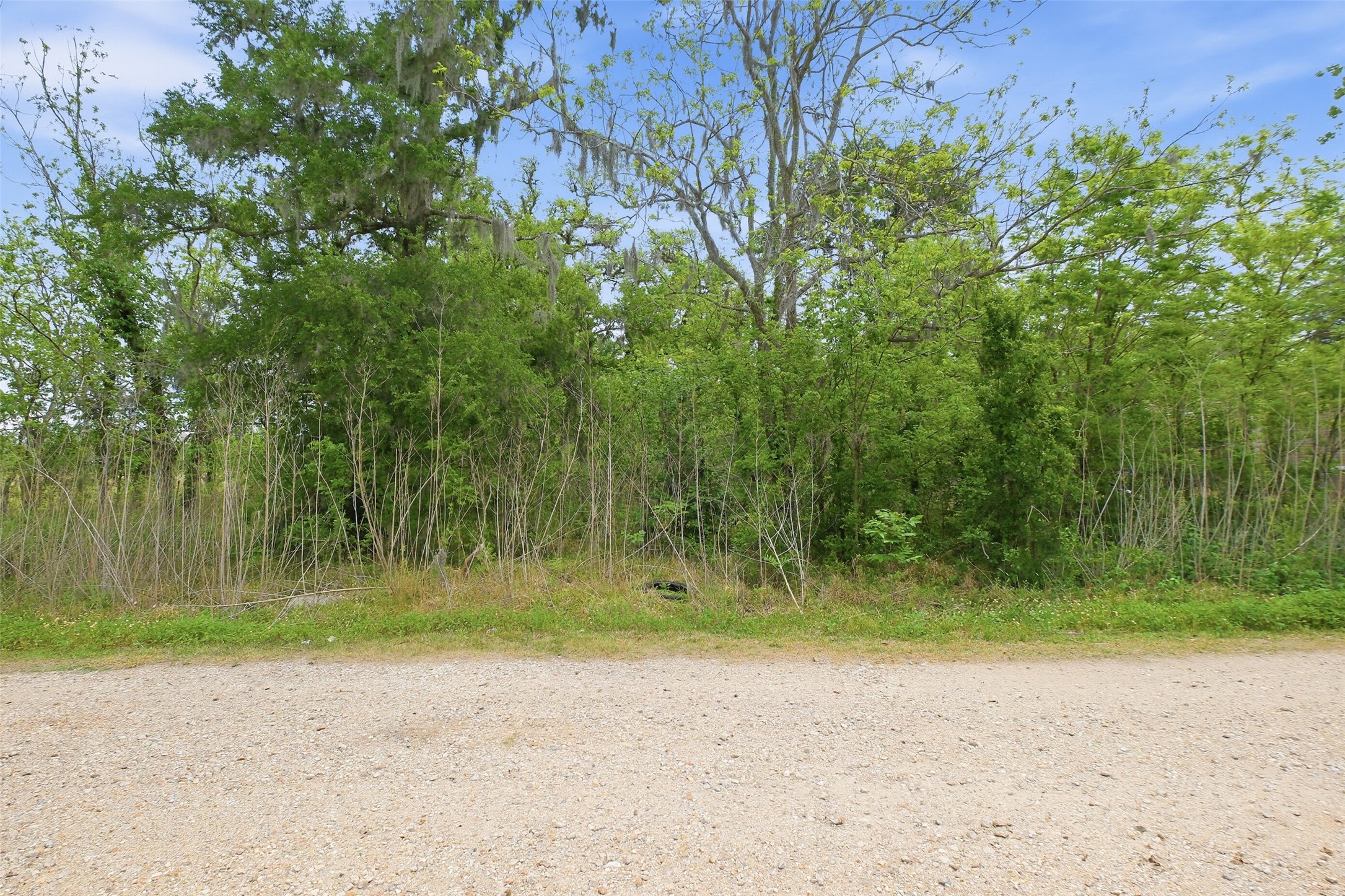 0 Elm Street Rosharon, TX 77583 - Photo 10 of 11