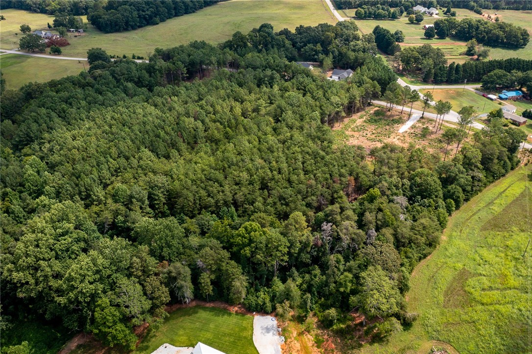 0 Five Forks Road Pendleton, SC 29670 - Photo 16 of 16