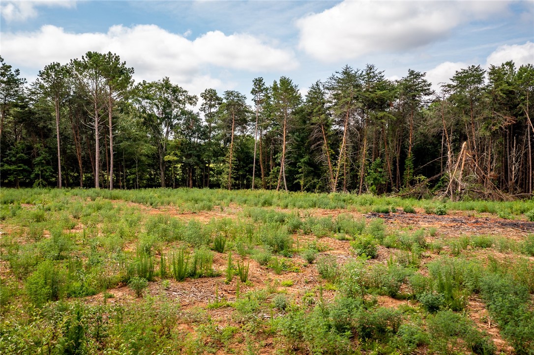 0 Five Forks Road Pendleton, SC 29670 - Photo 7 of 16