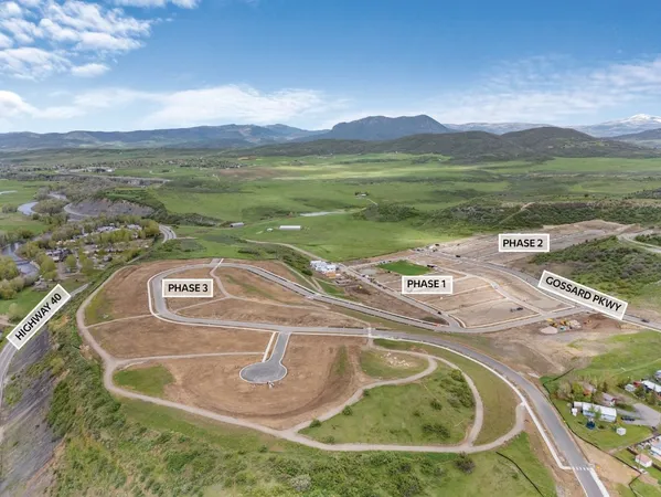 a view of a street with a tree