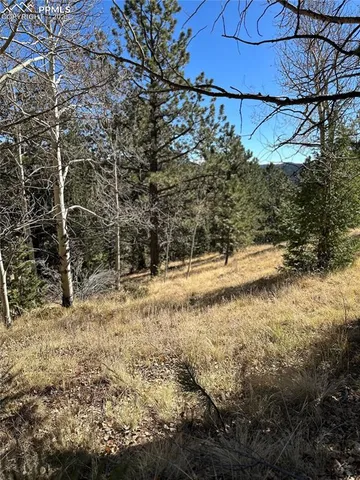 a view of yard covered with snow