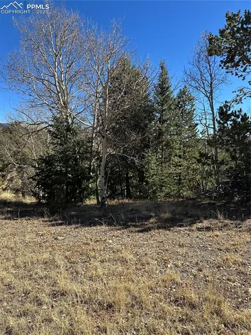 a view of outdoor space