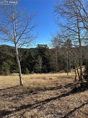 a view of a yard covered with snow in front of house