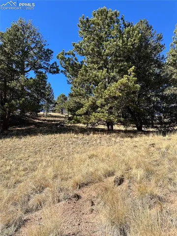 a view of outdoor space with wooden fence