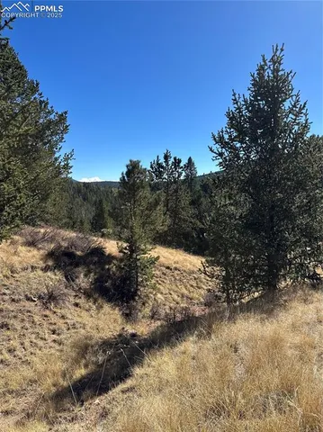 a view of a mountain with a tree in the background