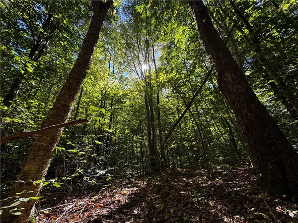 $214,900 | 185 Kaine Road, Williamstown, NY 13302