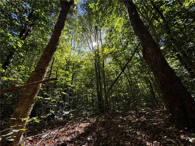 $214,900 | 185 Kaine Road, Williamstown, NY 13302