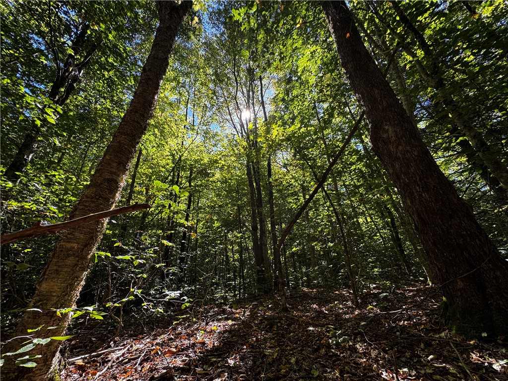 185 Kaine Road Williamstown, NY 13302 - Photo 3 of 21