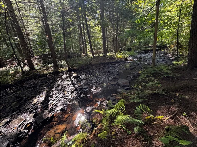 $214,900 | 185 Kaine Road, Williamstown, NY 13302