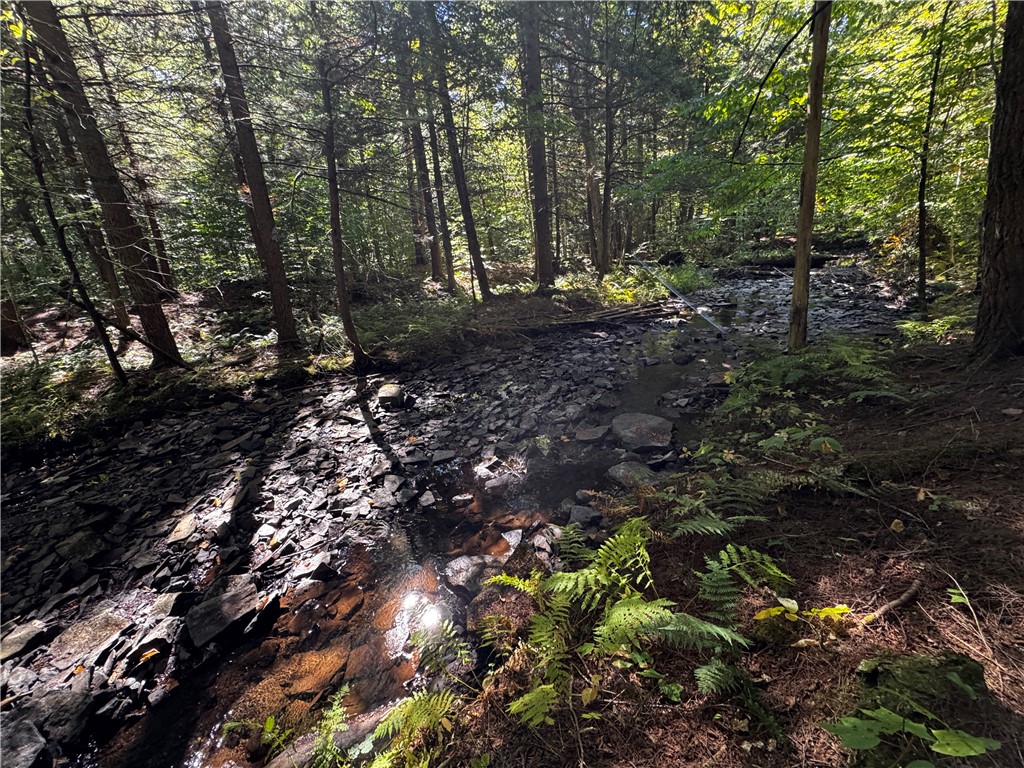 185 Kaine Road Williamstown, NY 13302 - Photo 4 of 21