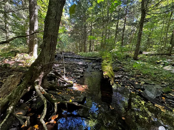 $214,900 | 185 Kaine Road, Williamstown, NY 13302