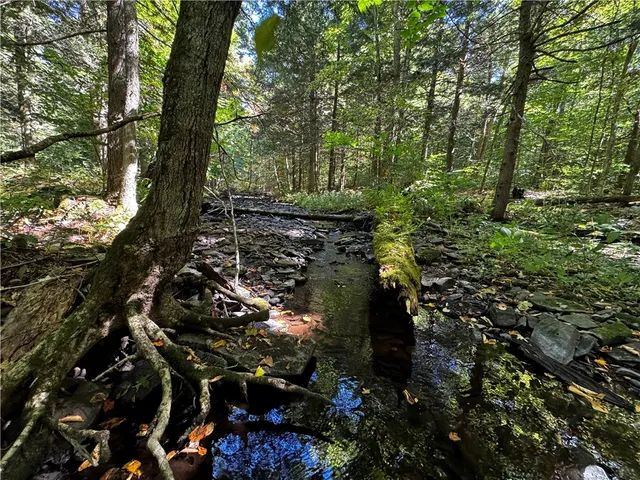 $214,900 | 185 Kaine Road, Williamstown, NY 13302