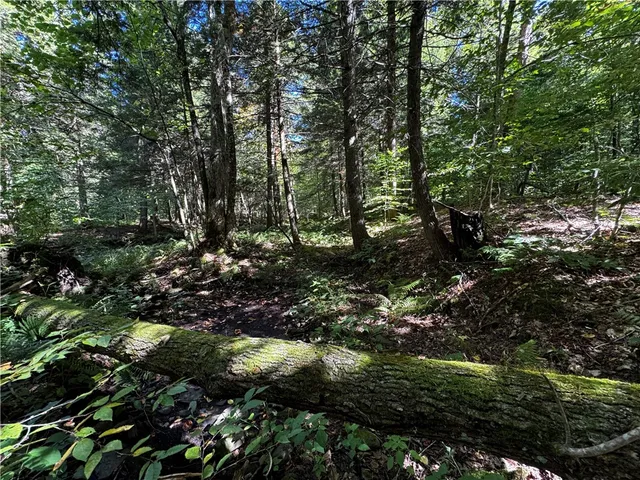 $214,900 | 185 Kaine Road, Williamstown, NY 13302