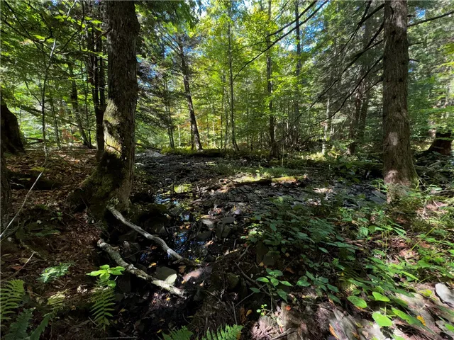 $214,900 | 185 Kaine Road, Williamstown, NY 13302