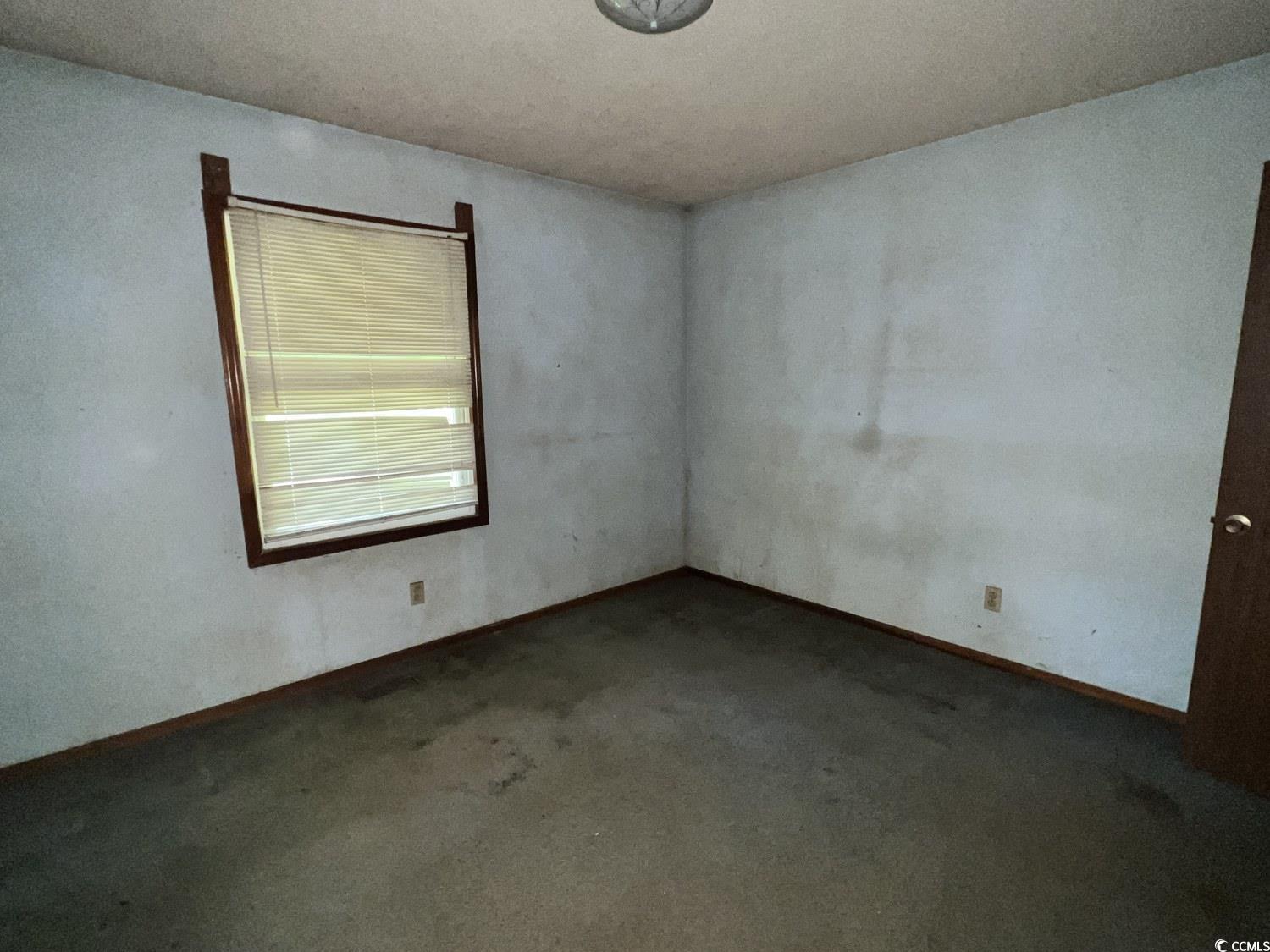 41 Harmon Street Hemingway, SC 29554 - Photo 17 of 20 Carpeted empty room with baseboards
