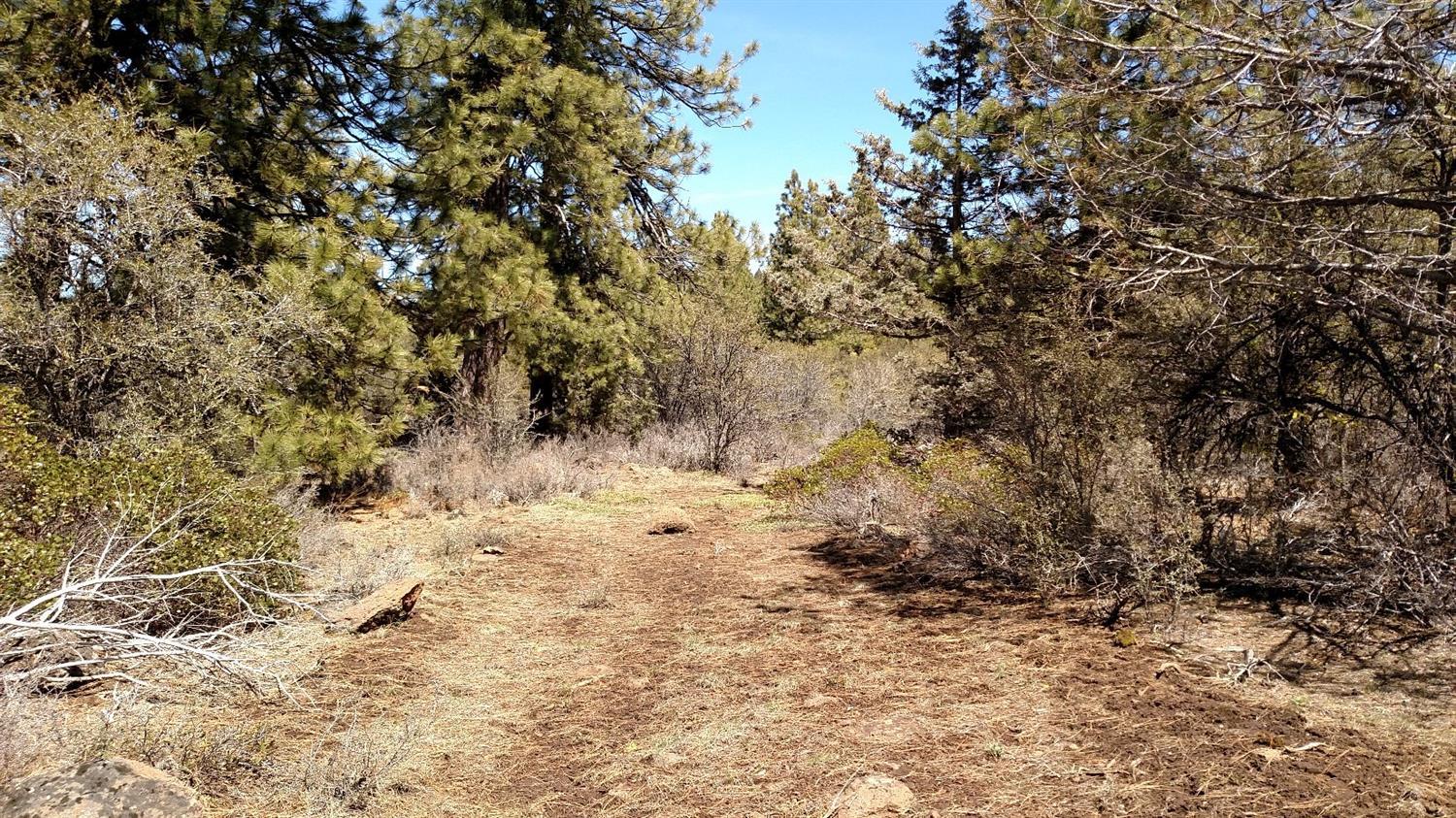 0 Hummingbird Drive Bonanza, OR 97623 - Photo 2 of 13 Additional Photo