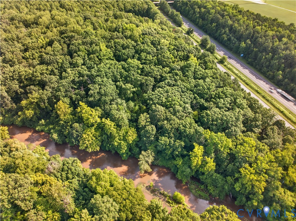 10355 Old Ridge Road Ashland, VA 23005 - Photo 3 of 8 Expansive treed landscape featuring a winding rive