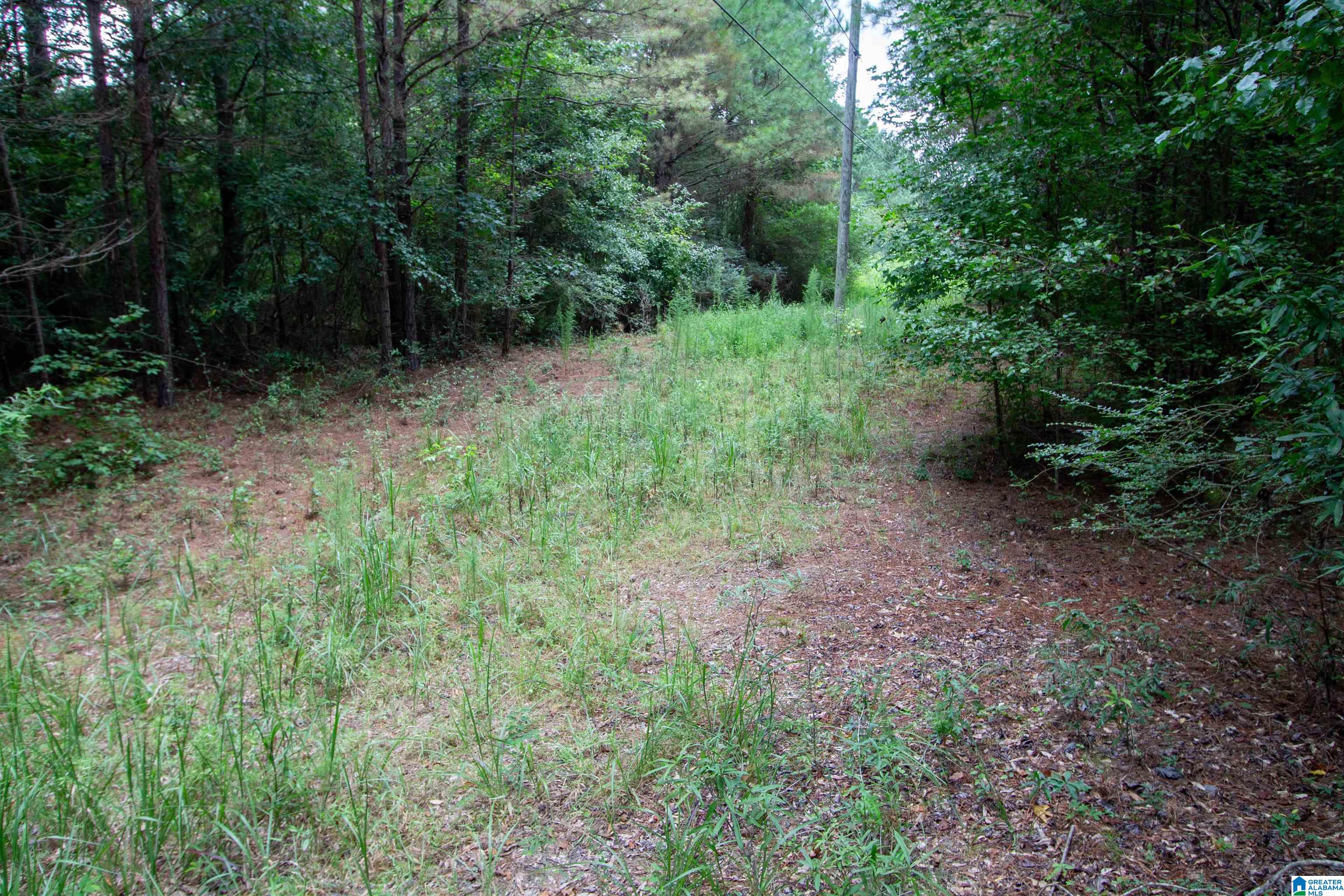 97 Joiner Road Hayden, AL 35079 - Photo 42 of 42