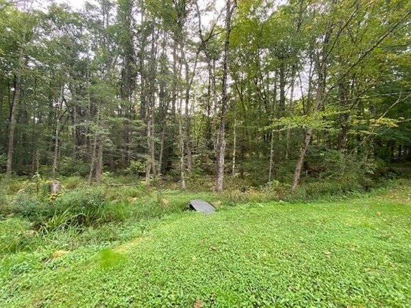 195 Williamsville Road Hubbardston, MA 01452 - Photo 5 of 19 Gallery Image 5