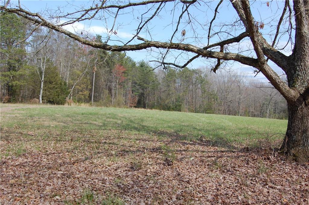 444 Edwards Cedar Lane Road Elkin, NC 28621 - Photo 8 of 11 Gallery Image 8